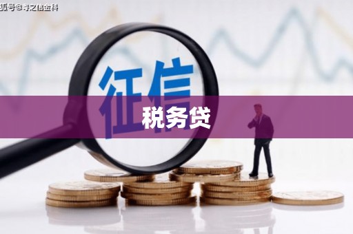 彭州税务贷