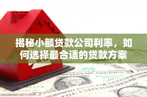 彭州揭秘小额贷款公司利率，如何选择最合适的贷款方案